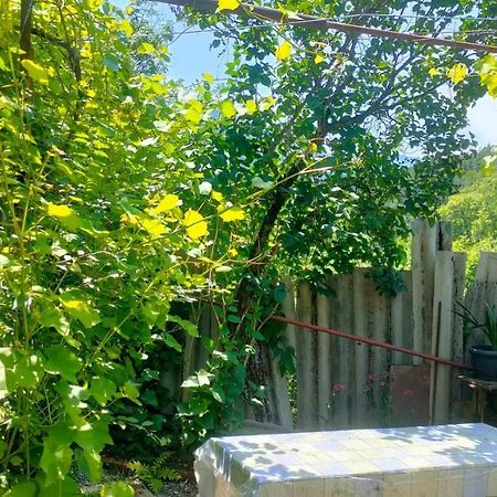 Guest House Gogias Cixe Borjomi Εξωτερικό φωτογραφία