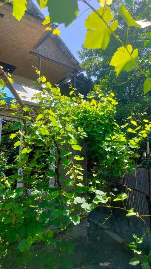 Guest House Gogias Cixe Borjomi Εξωτερικό φωτογραφία