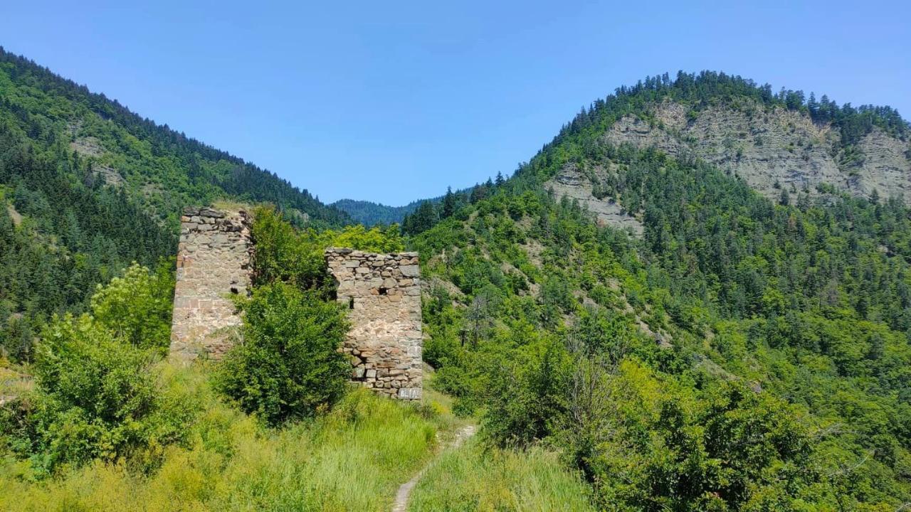 Guest House Gogias Cixe Borjomi Εξωτερικό φωτογραφία